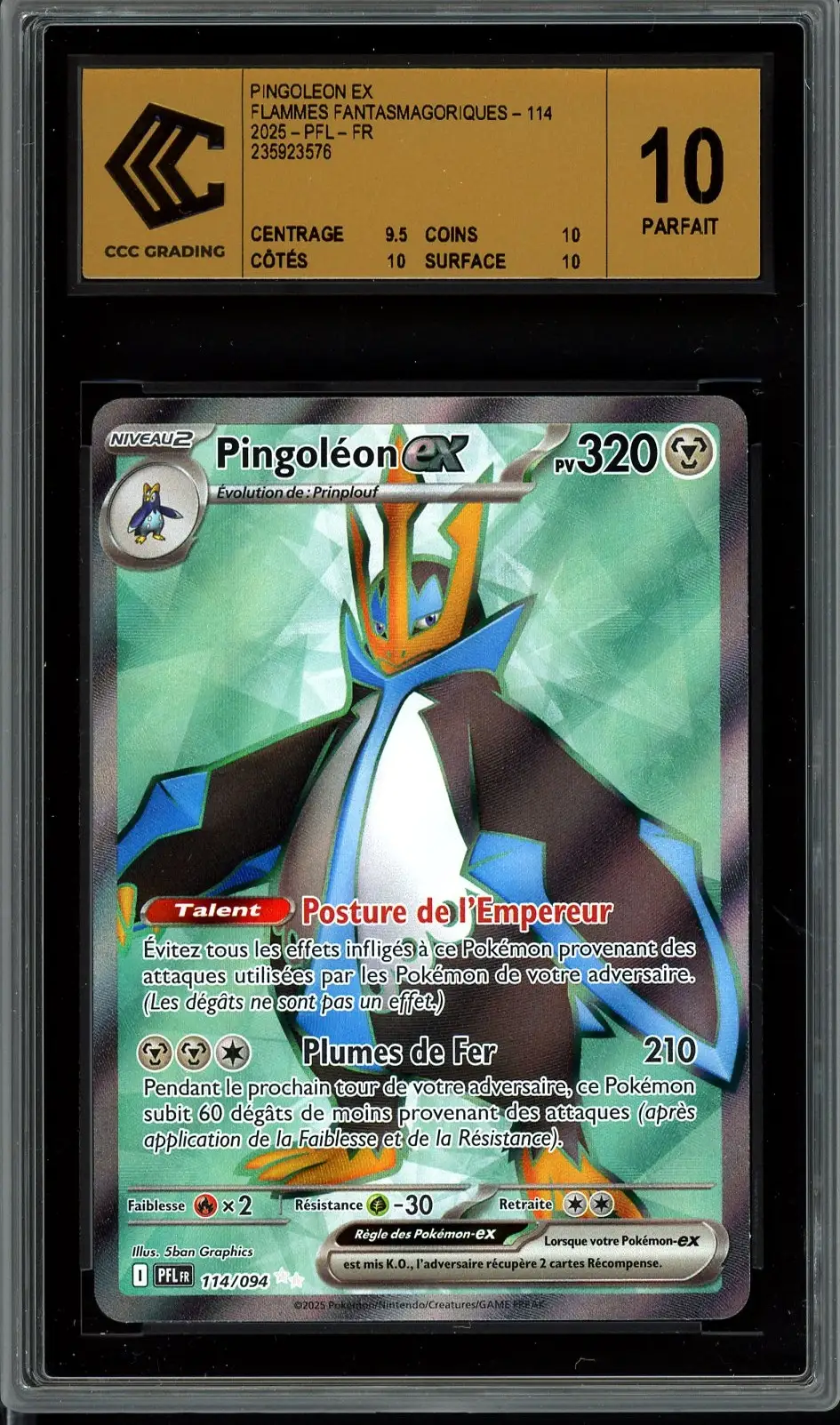 CCC 10 Pingoléon Ex