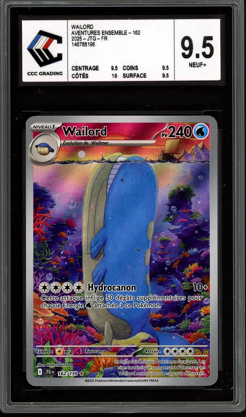 CCC 9.5 Wailord