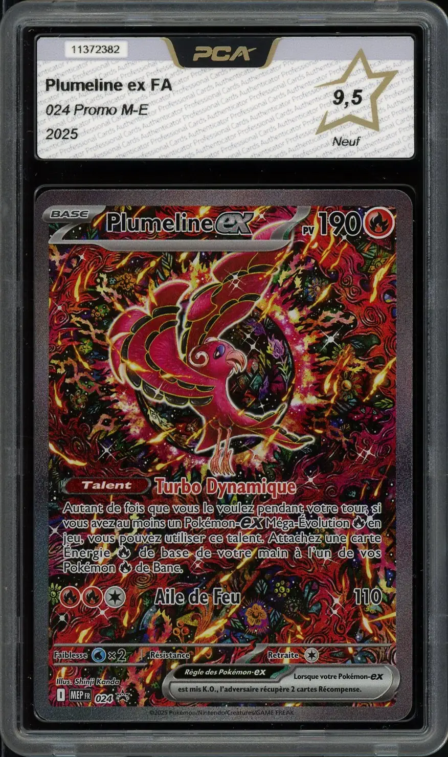 PCA 9.5 Plumeline Ex