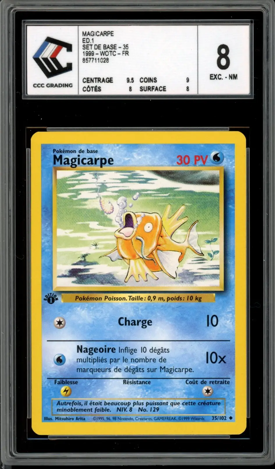 CCC 8 Magicarpe