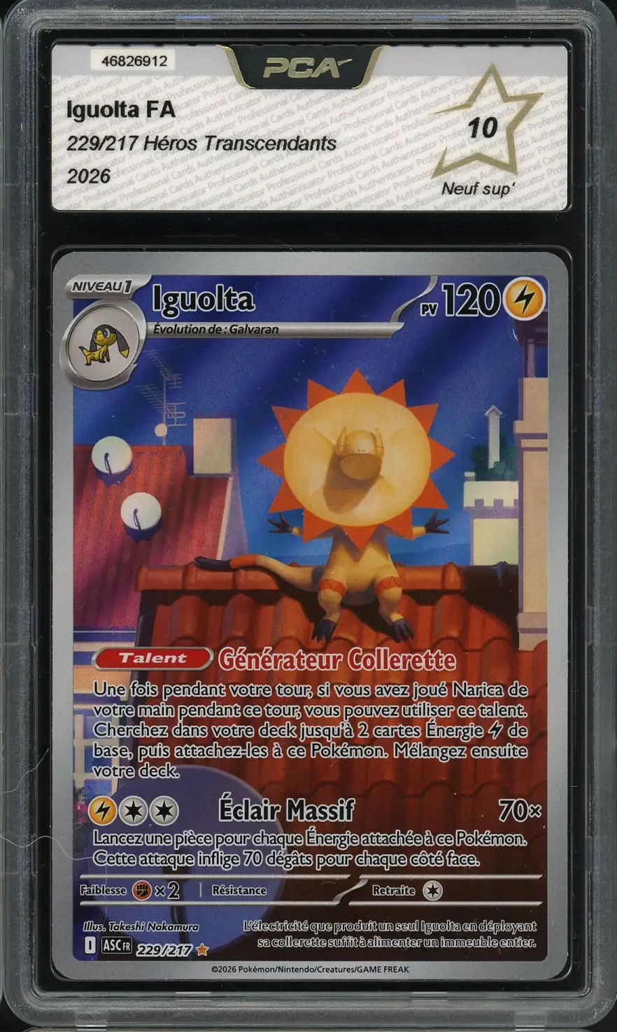 PCA 10 Iguolta