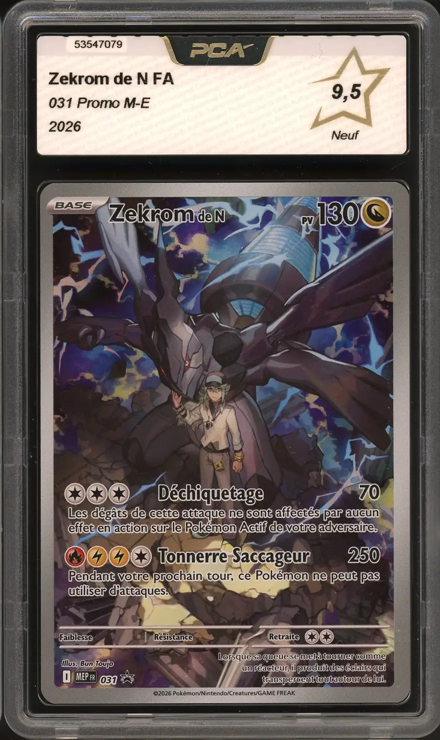 PCA 9.5 Zekrom de N