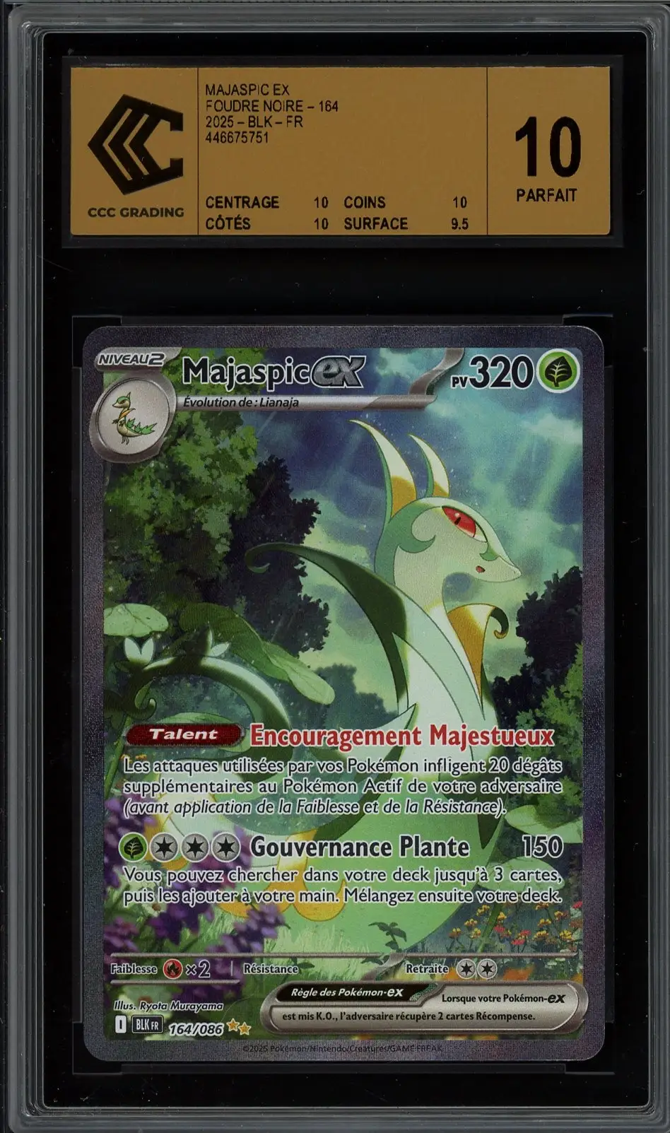 CCC 10 Majaspic Ex