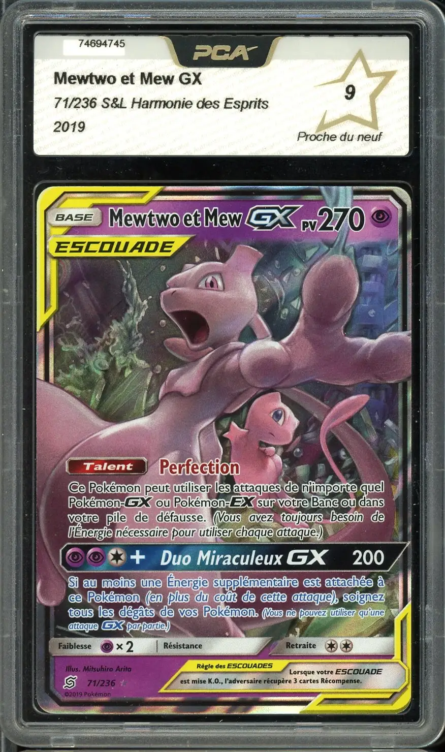 PCA 9 Mewtwo et Mew Gx