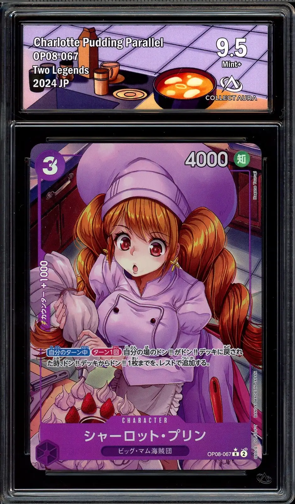 CA 9.5 Charlotte Pudding