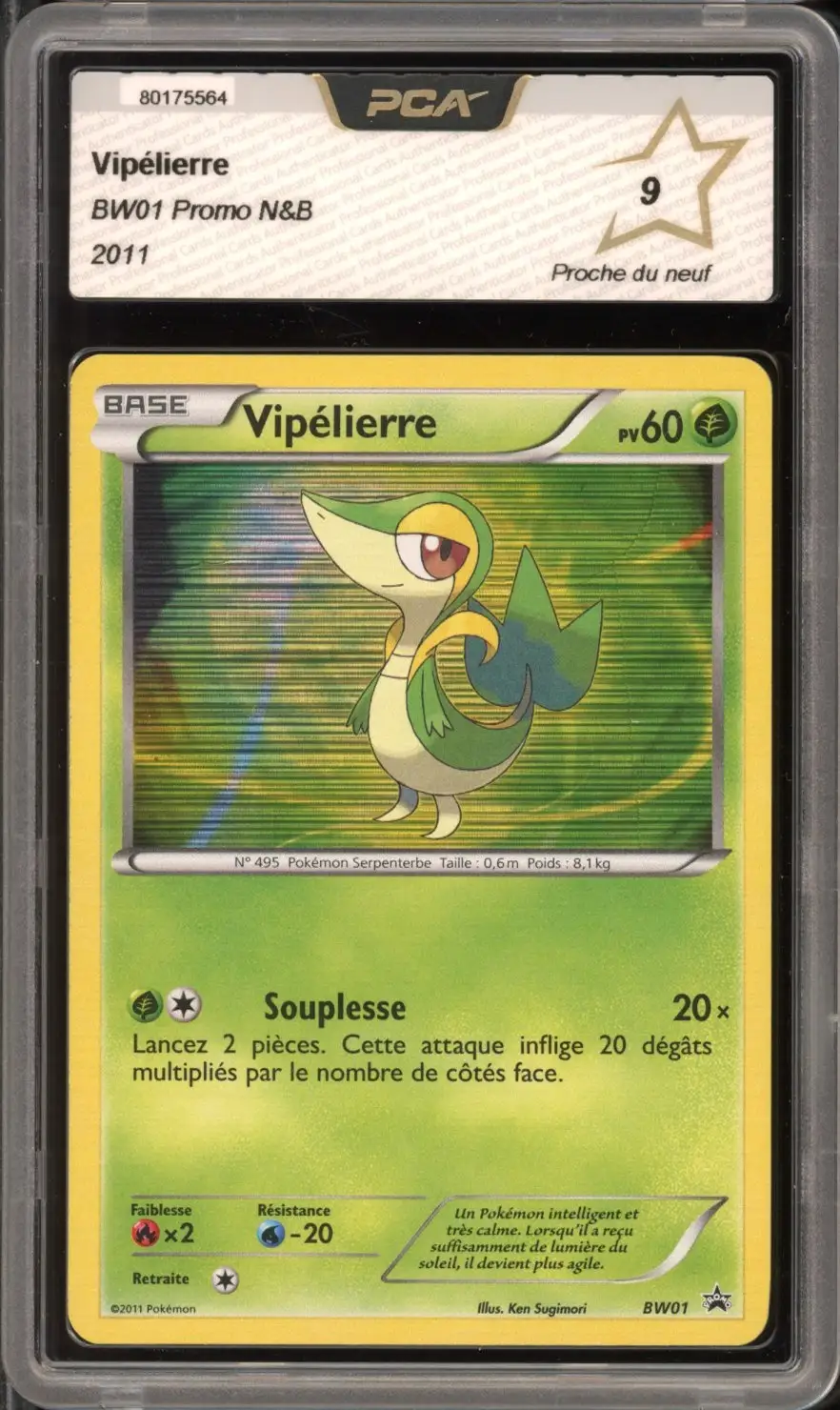 PCA 9 Vipélierre Holo