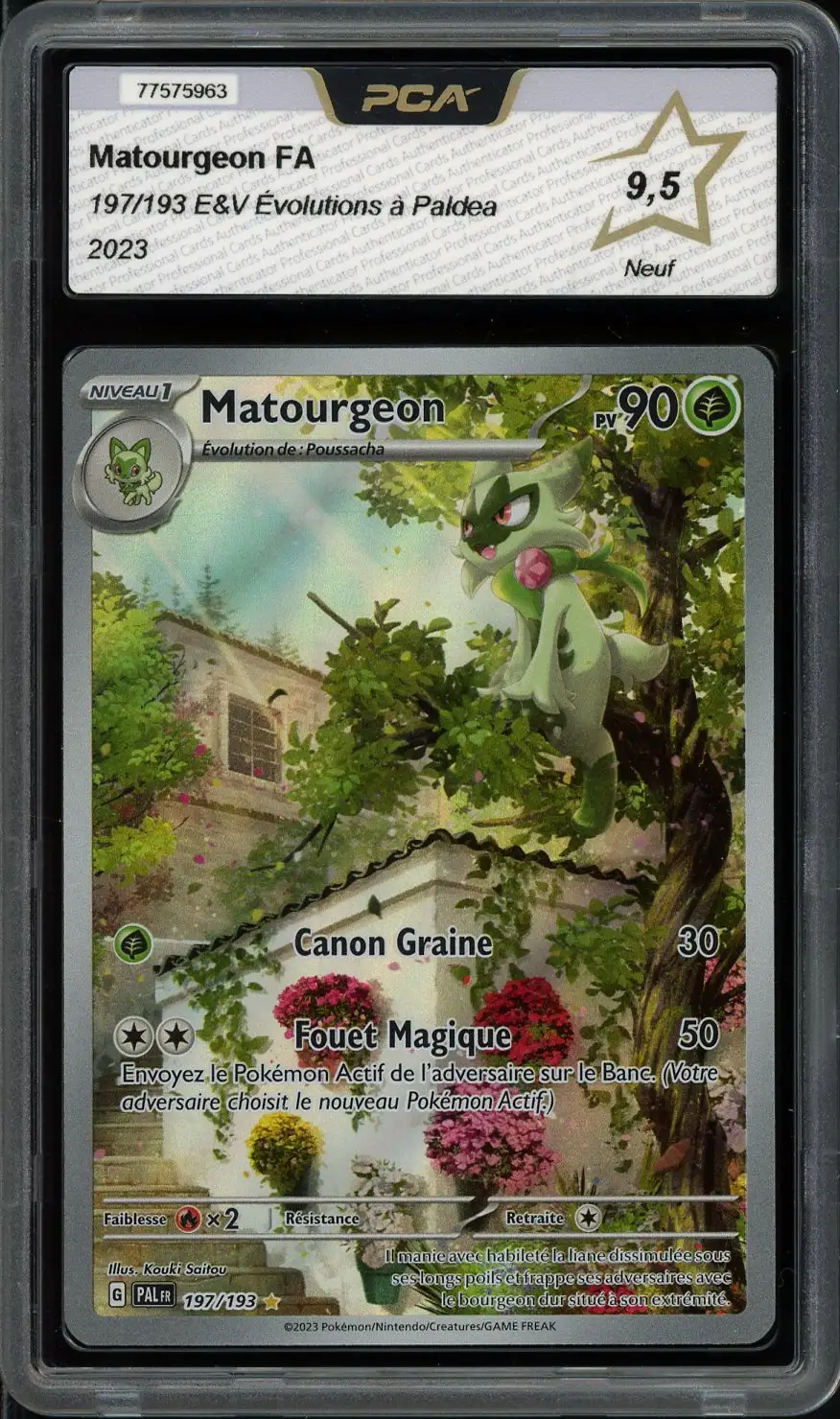 PCA 9.5 Matourgeon
