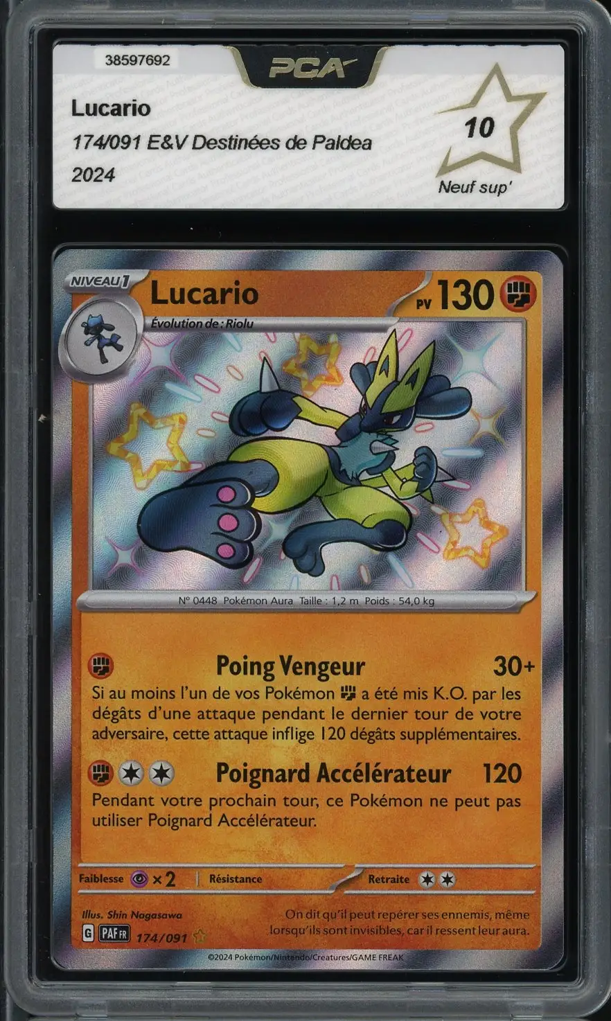 PCA 10 Lucario Shiny