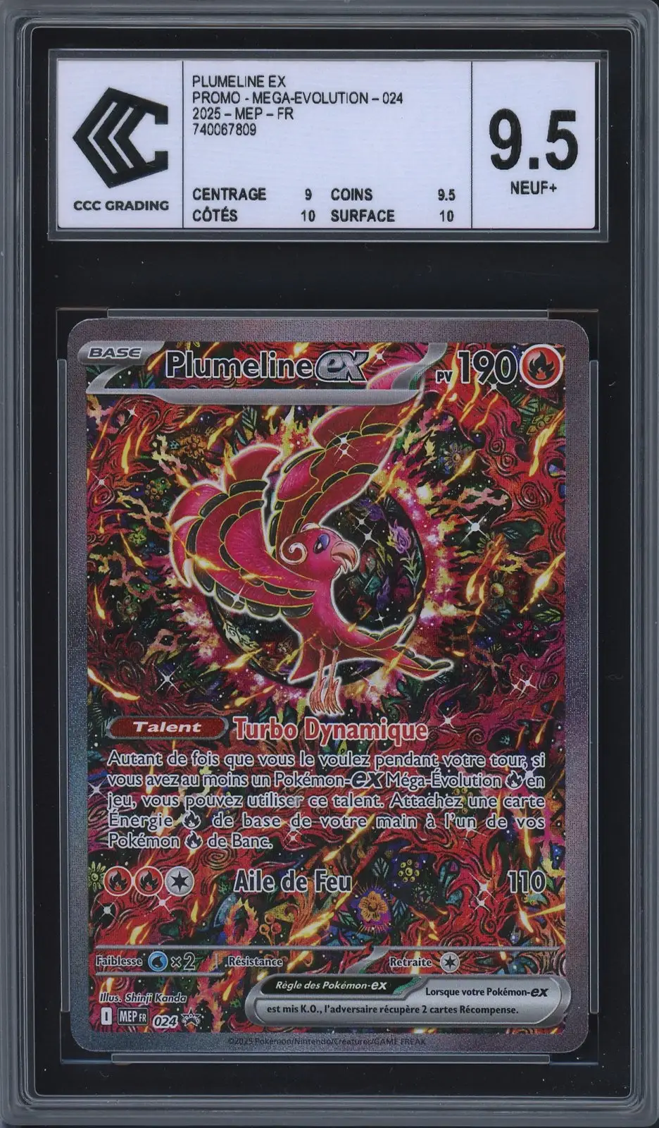CCC 9.5 Plumeline Ex