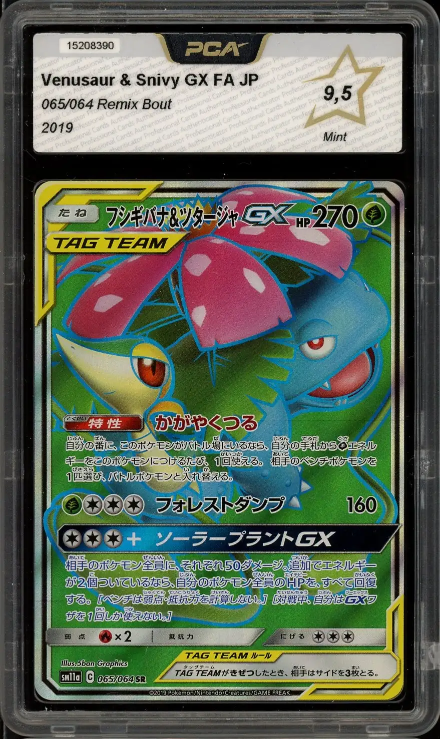 PCA 9.5 Venusaur & Snivy Gx