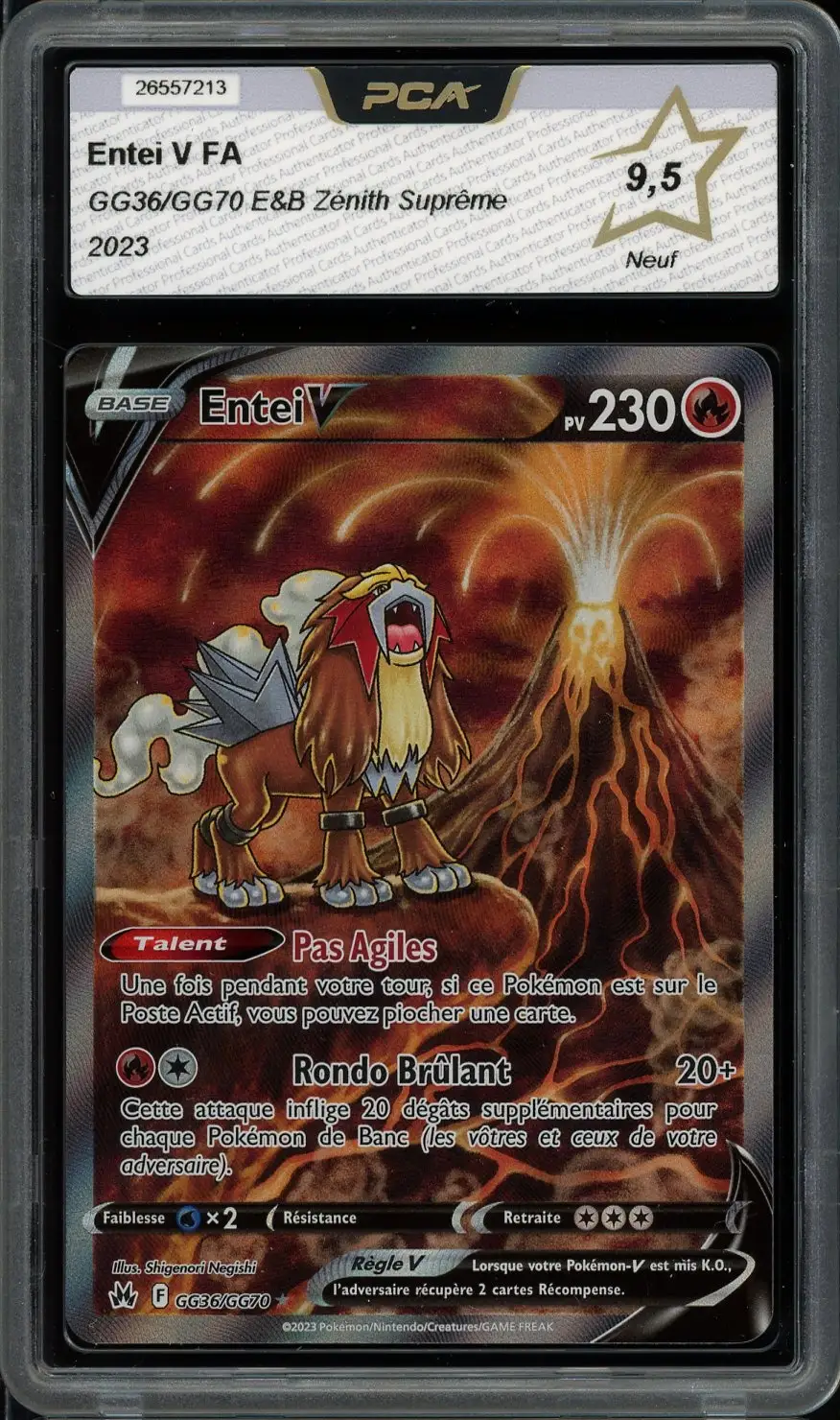 PCA 9.5 Entei V