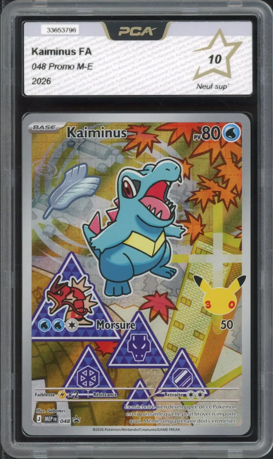 PCA 10 Kaiminus