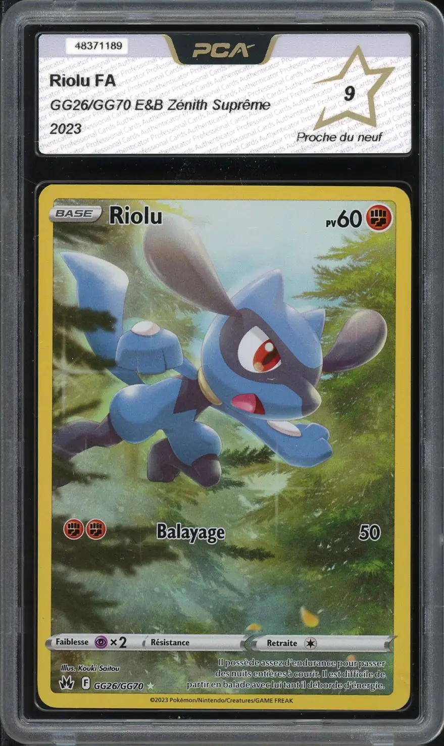 PCA 9 Riolu