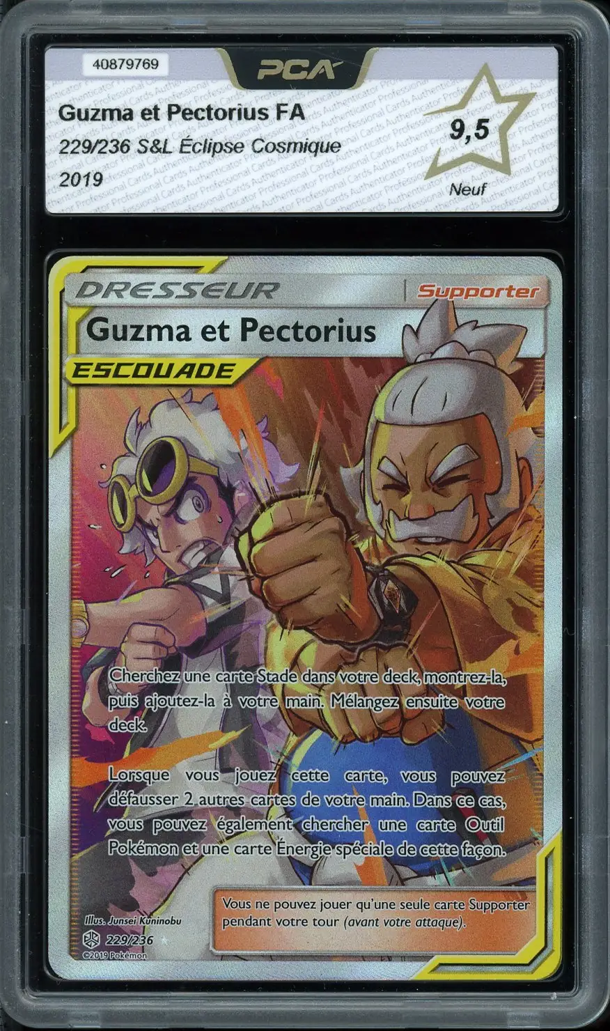 PCA 9.5 Guzma et Pectorius