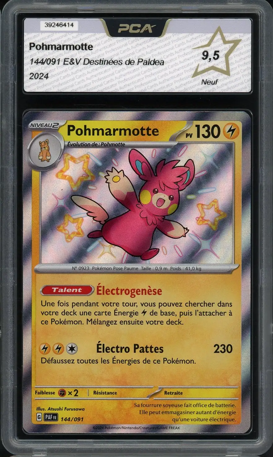 PCA 9.5 Pohmarmotte Shiny