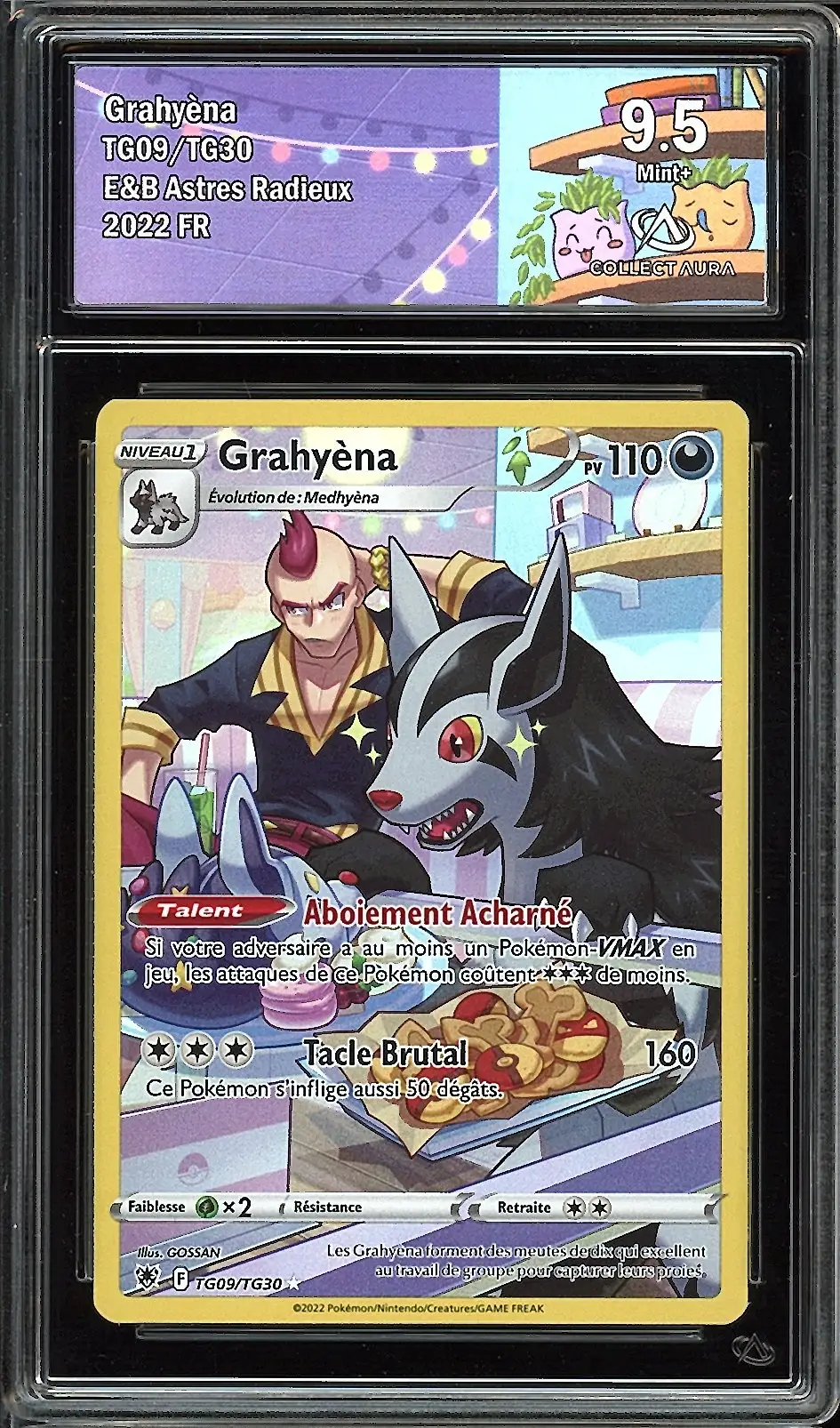 CA 9.5 Grahyèna