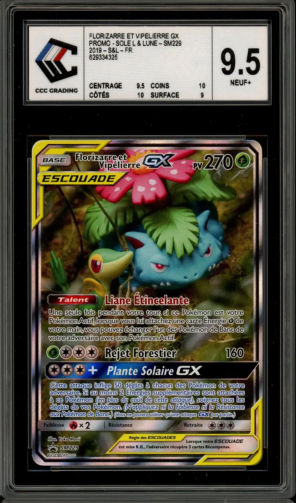 CCC 9.5 Florizarre et Vipélierre Gx