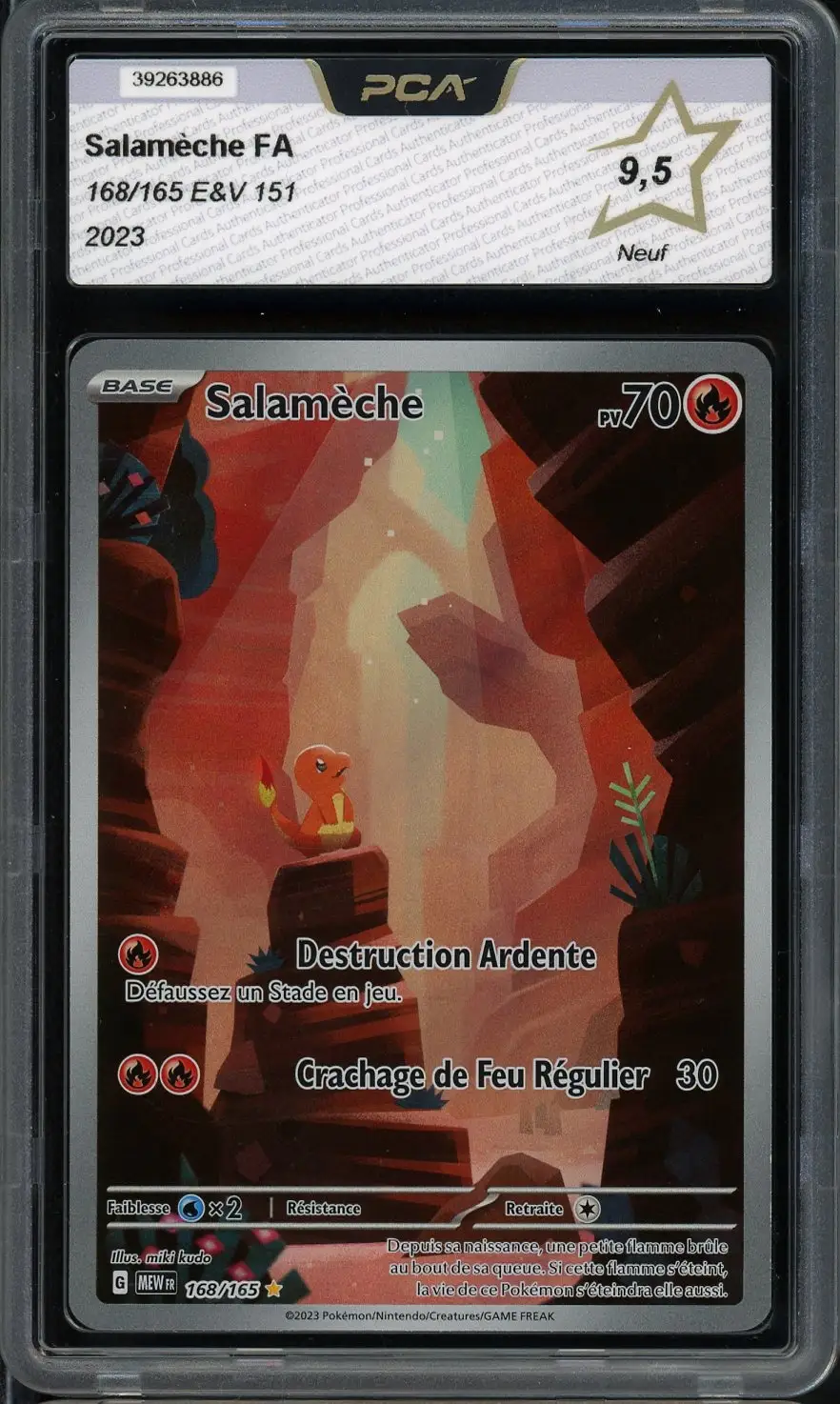 PCA 9.5 Salamèche
