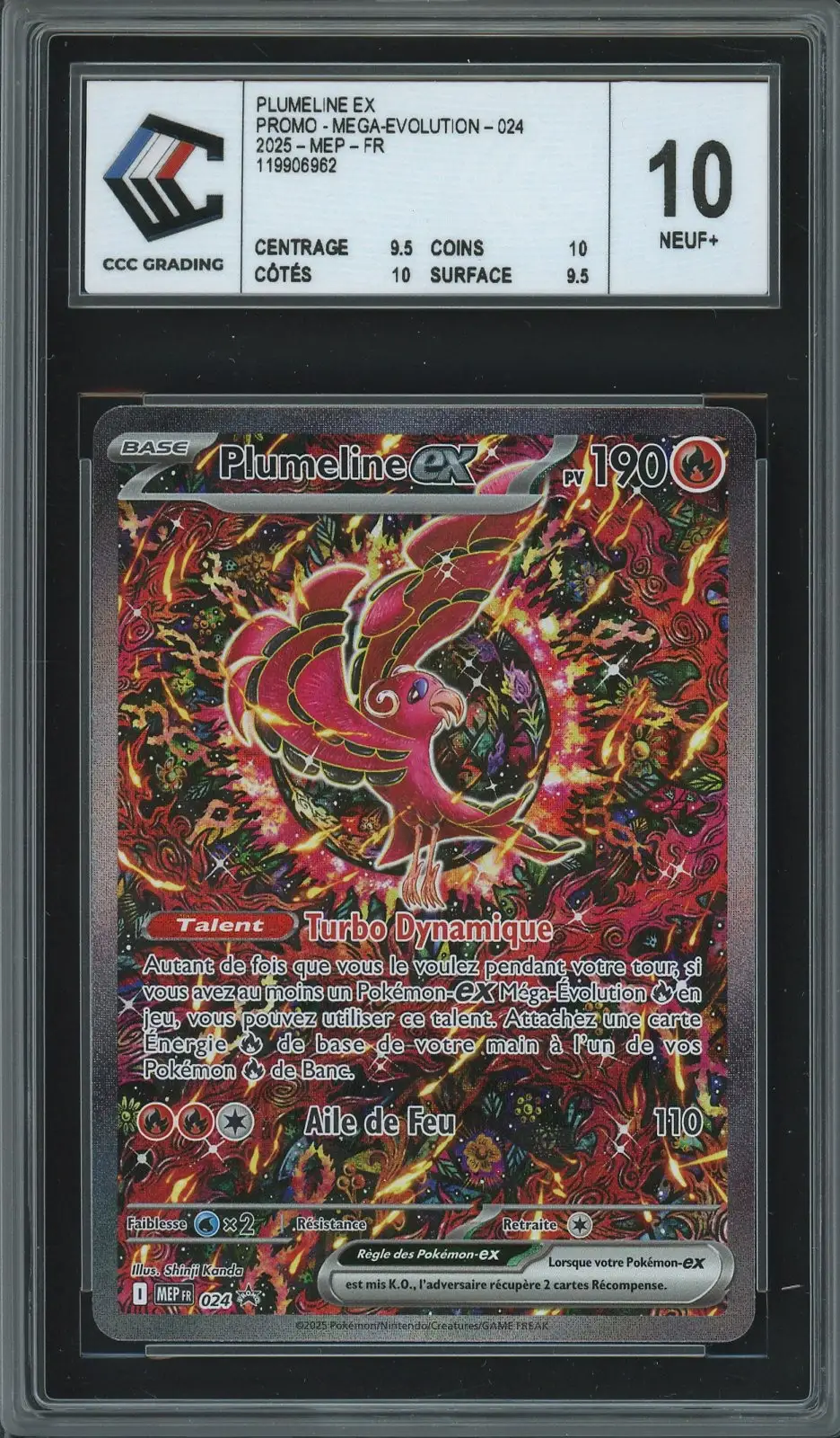 CCC 10 Plumeline Ex