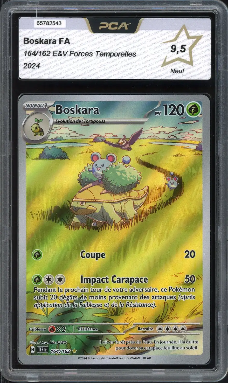 PCA 9.5 Boskara