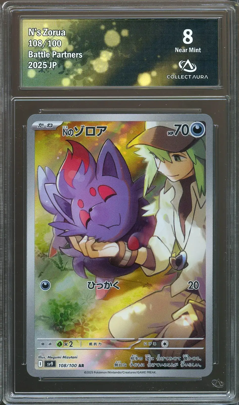 CA 8 N's Zorua