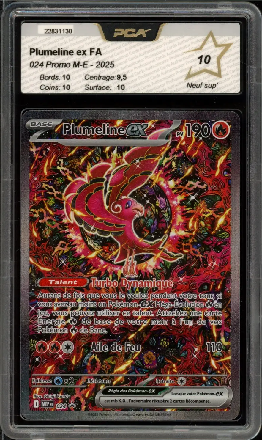 PCA 10 Plumeline Ex