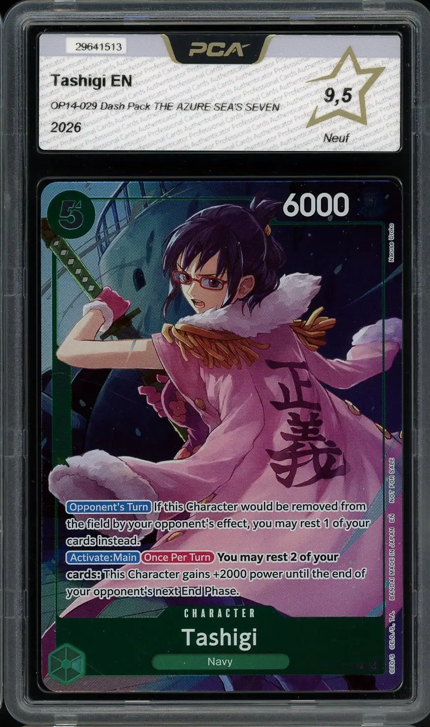 PCA 9.5 Tashigi