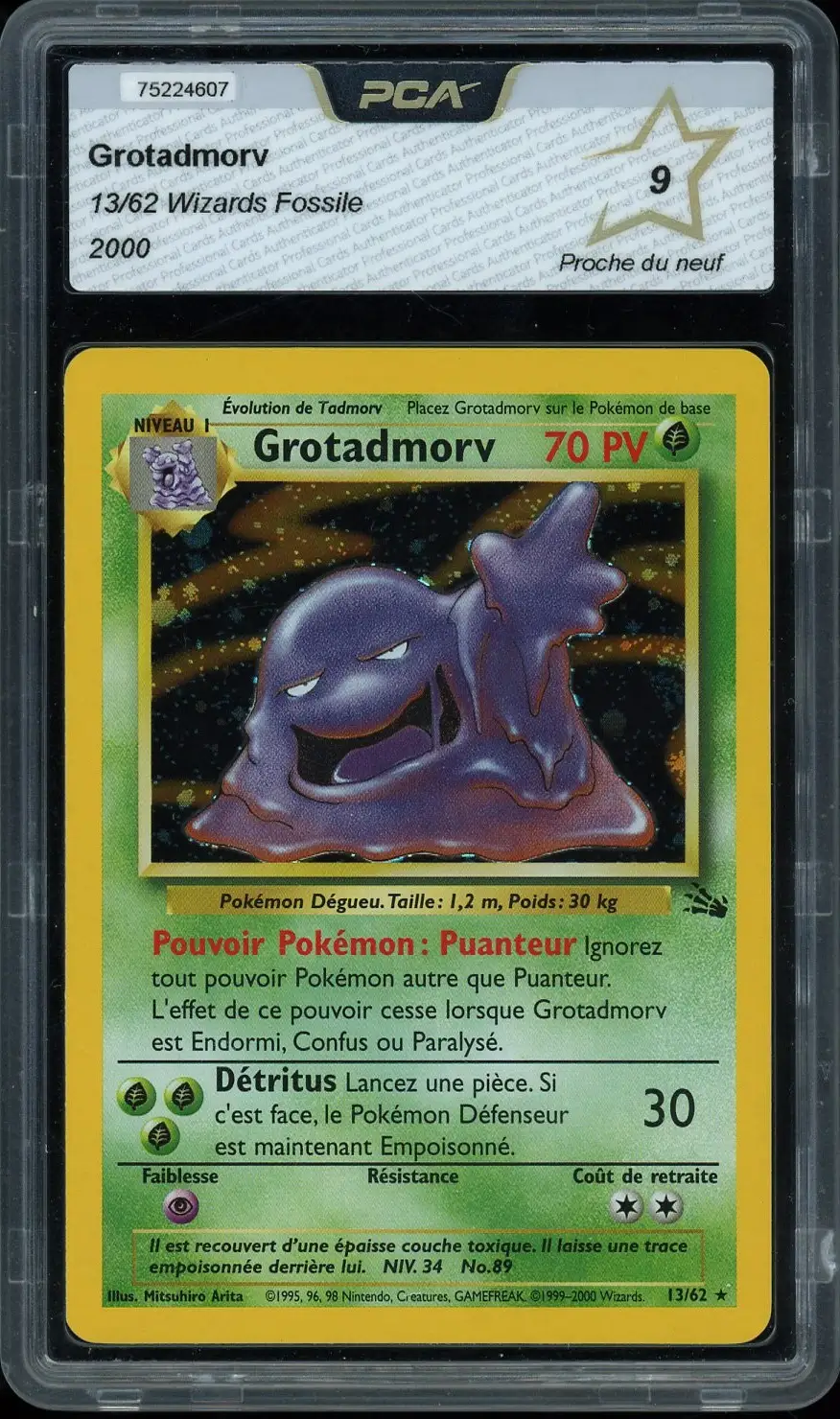 PCA 9 Grotadmorv Holo