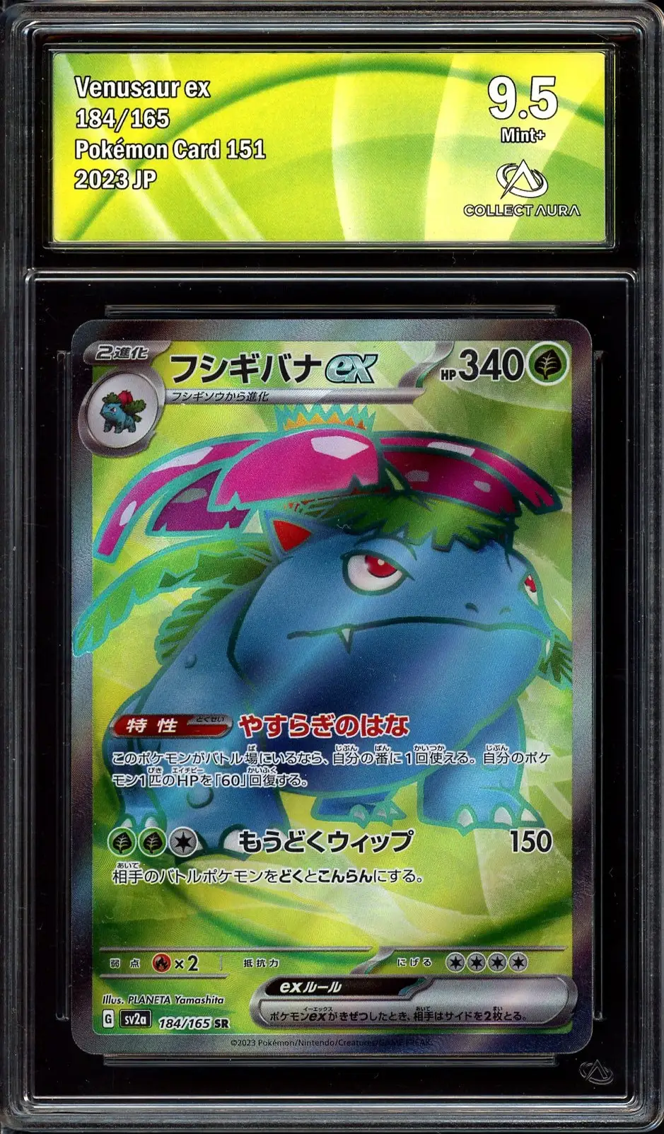 CA 9.5 Venusaur Ex