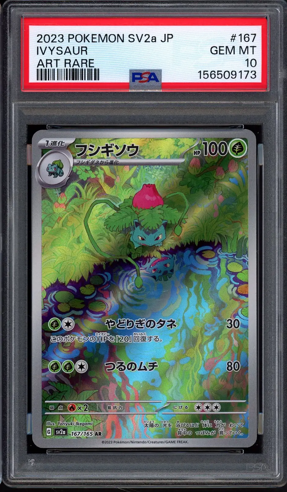 PSA 10 Ivysaur