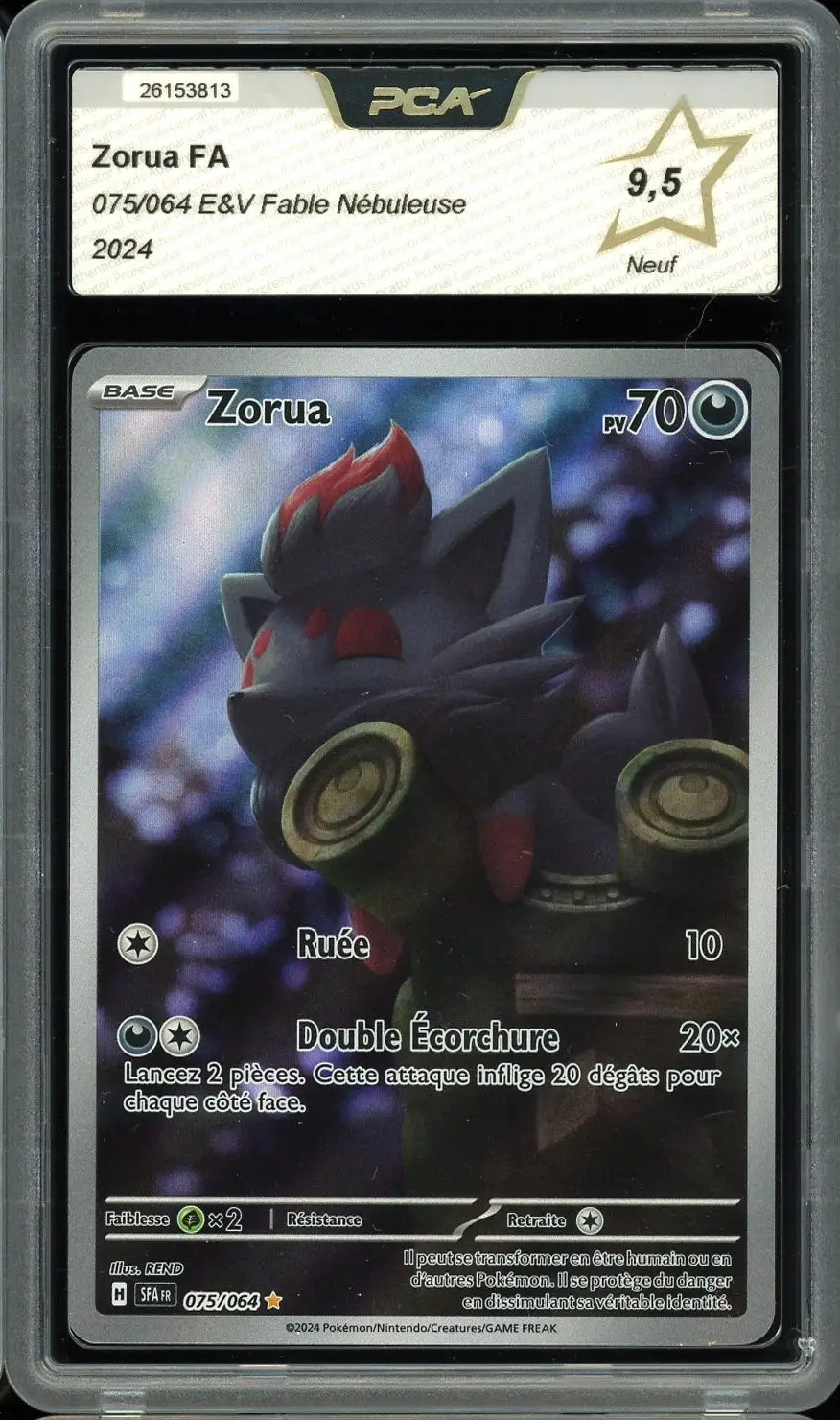PCA 9.5 Zorua