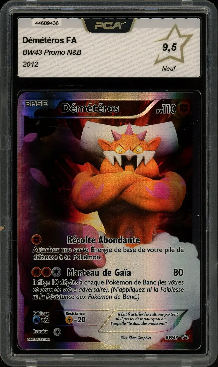 PCA 9.5 Démétéros