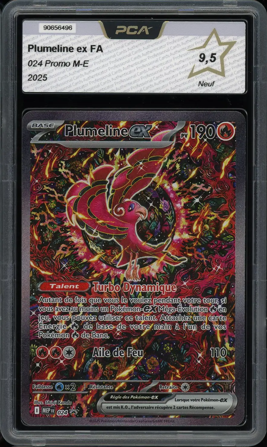PCA 9.5 Plumeline Ex