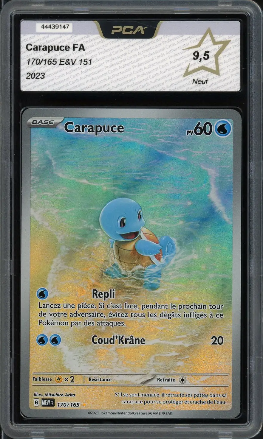 PCA 9.5 Carapuce