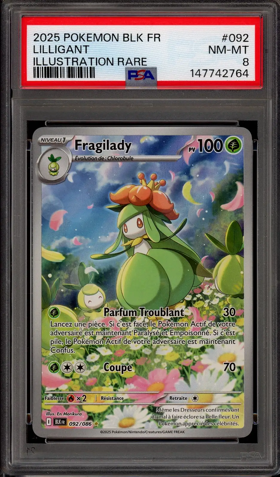 PSA 8 Fragilady