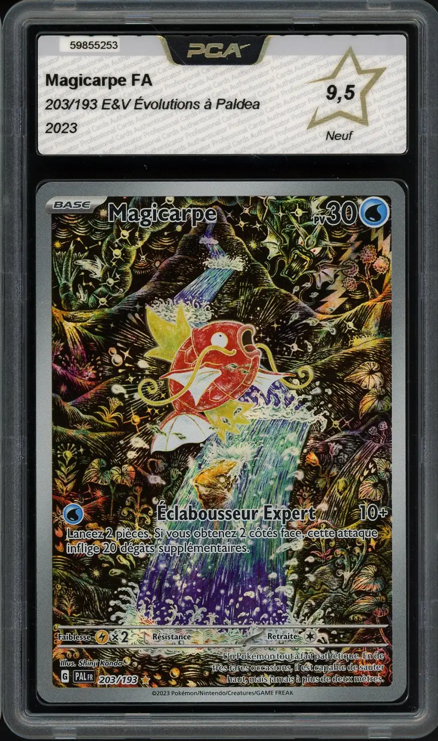 PCA 9.5 Magicarpe