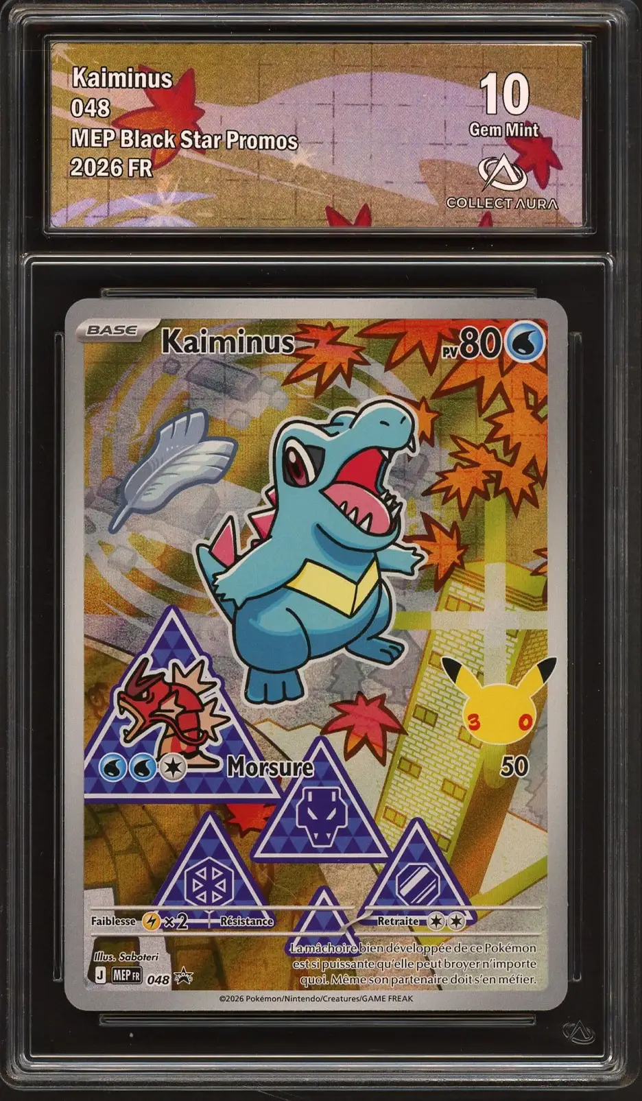 CA 10 Kaiminus