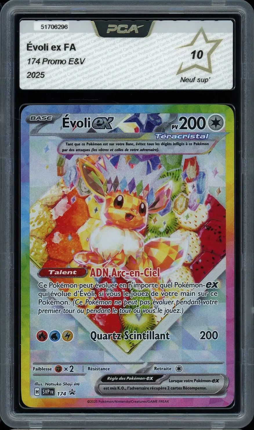 PCA 10 Evoli Ex