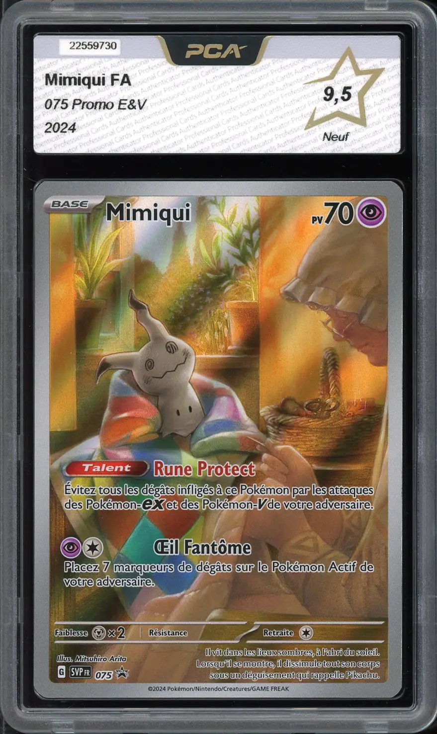 PCA 9.5 Mimiqui