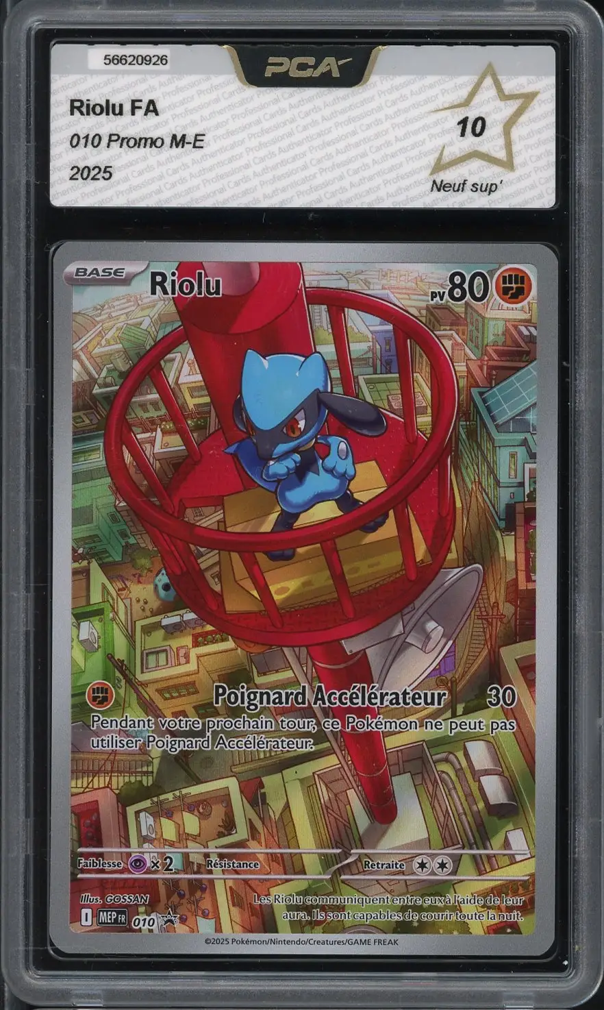 PCA 10 Riolu
