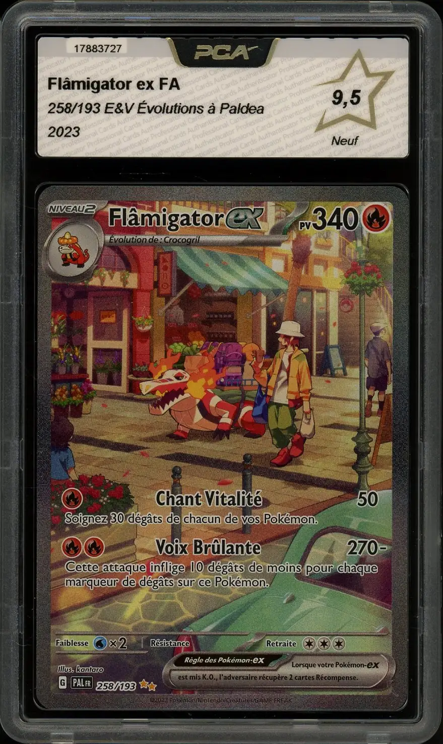 PCA 9.5 Flâmigator Ex