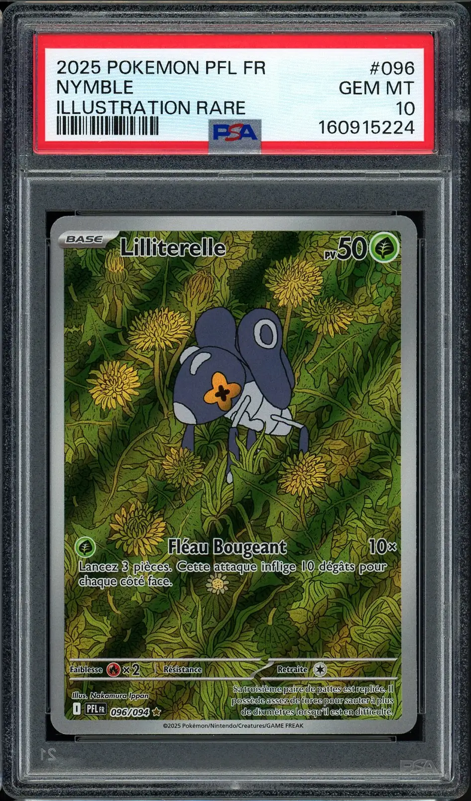 PSA 10 Lilliterelle