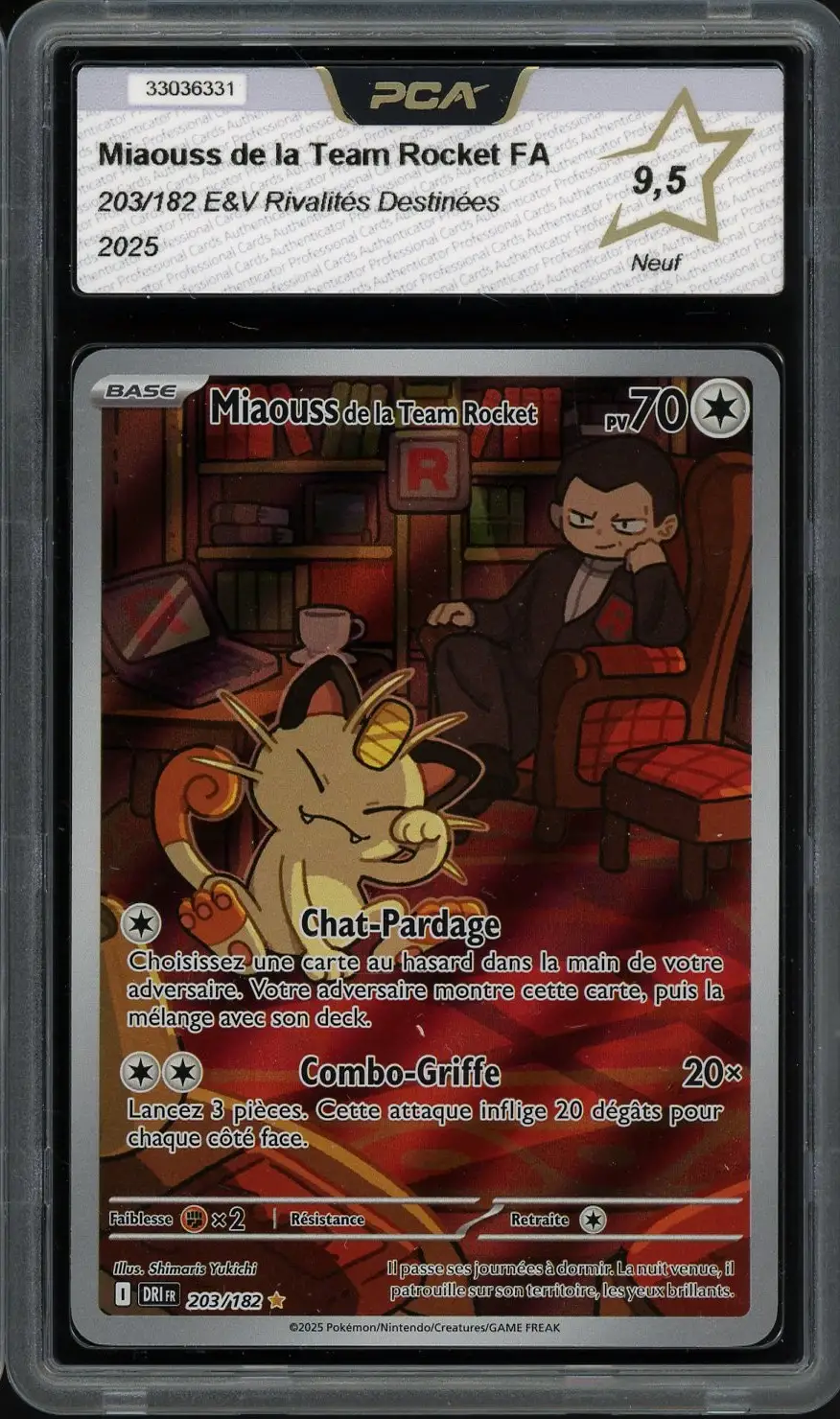 PCA 9.5 Miaouss de la Team Rocket