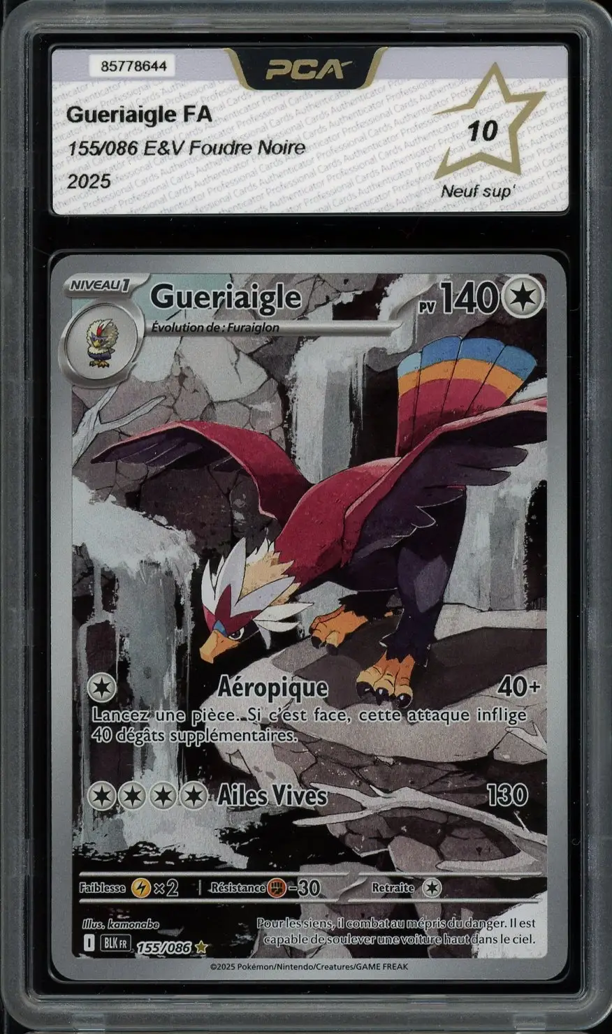 PCA 10 Gueriaigle