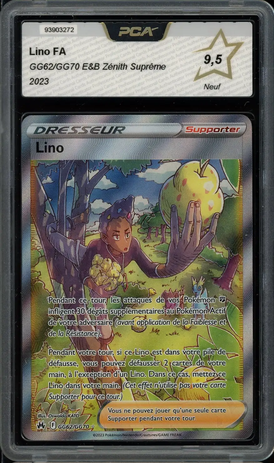 PCA 9.5 Lino