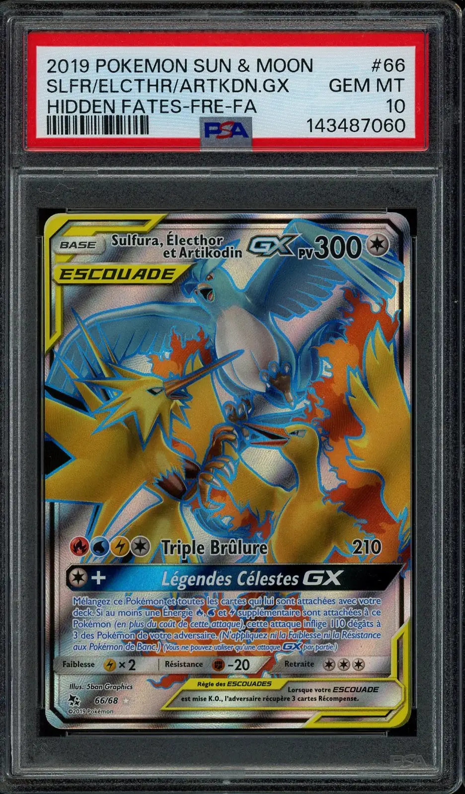 PSA 10 Sulfura, Électhor et Artikodin Gx