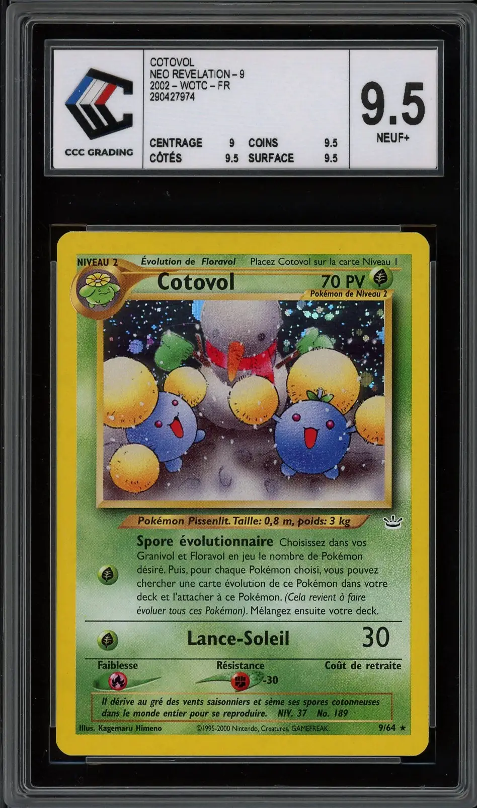 CCC 9.5 Cotovol Holo