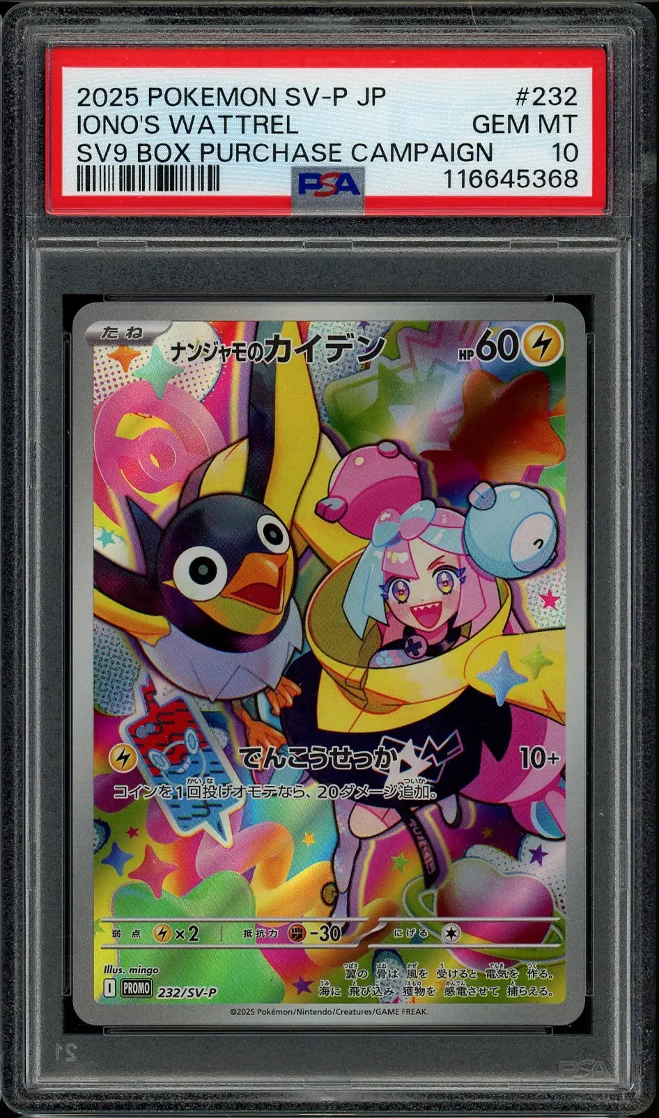 PSA 10 Iono's Wattrel