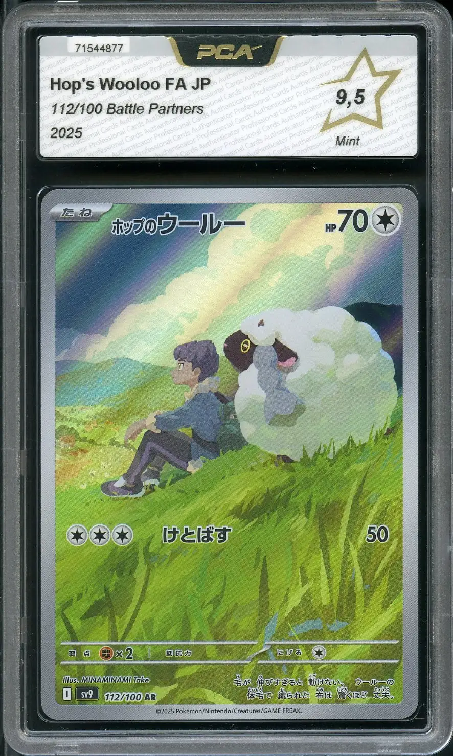 PCA 9.5 Hop's Wooloo