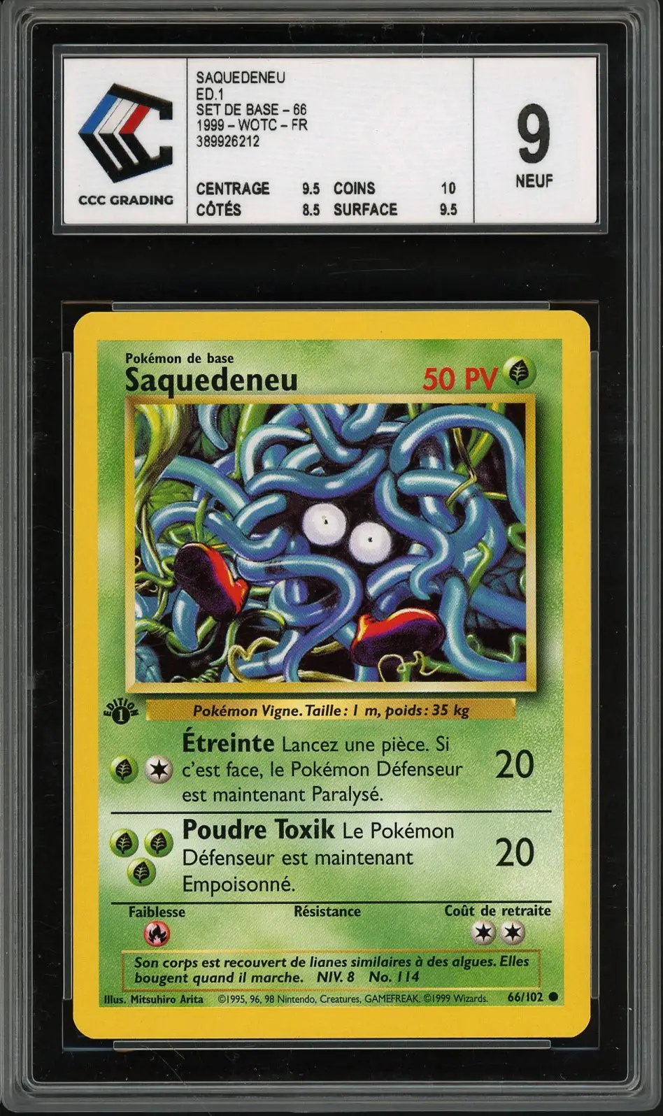 CCC 9 Saquedeneu